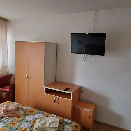 Vucic Apartment
