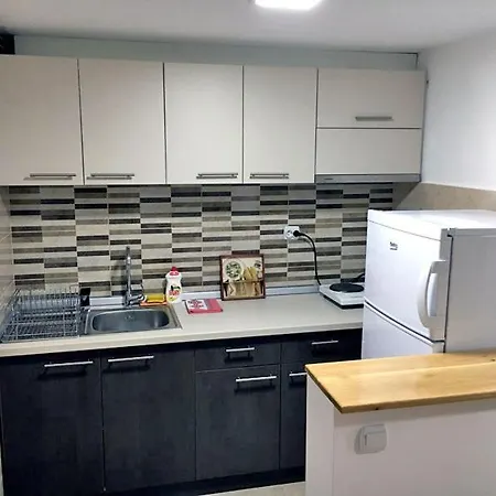 Apartment Vucic Soko Banja