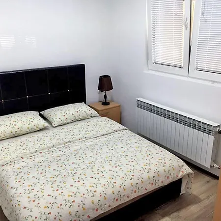 Vucic Soko Banja