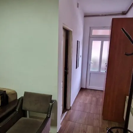 Vucic Apartment Soko Banja